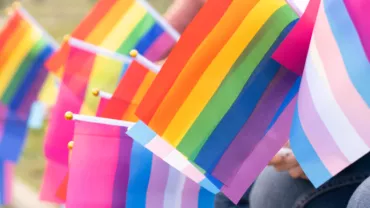 Multiple pride flags being held outdoors.