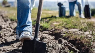 Close-up of a person digging soil with a shovel on a sunny day.