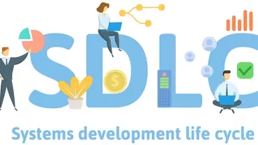 Illustration of SDLC with icons like graphs and people working on laptops.