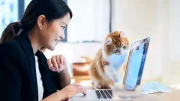 Woman working on a laptop with a curious cat nearby.