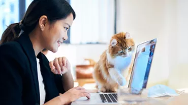 Smiling Asian woman looking at her laptop screen with cat next to her