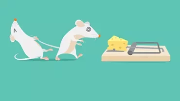 Cartoon of two mice near a cheese-loaded mousetrap, one looking cautious.
