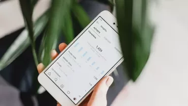 Hand holding a smartphone displaying analytics data with a leafy plant in the background.