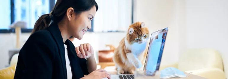 Smiling Asian woman looking at her laptop screen with cat next to her