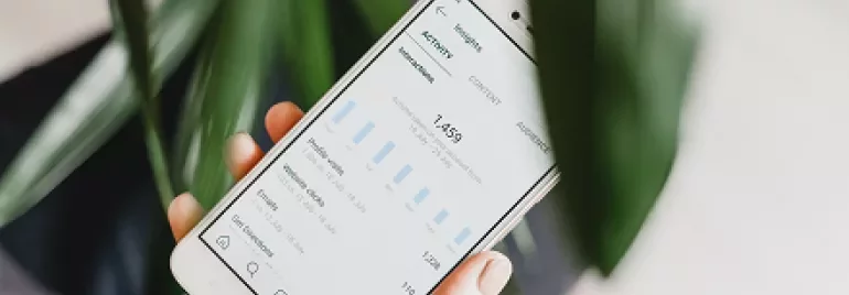 Hand holding a smartphone displaying analytics data with a leafy plant in the background.