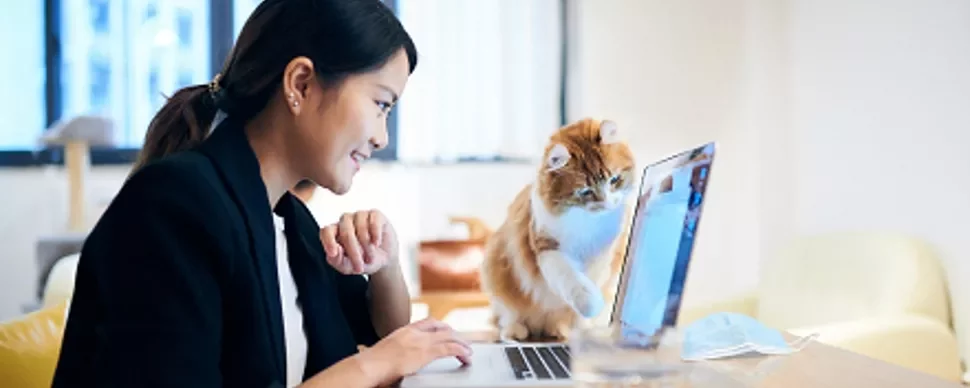 Woman working on a laptop with a curious cat nearby.