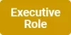 Blind Logo - Executive Role