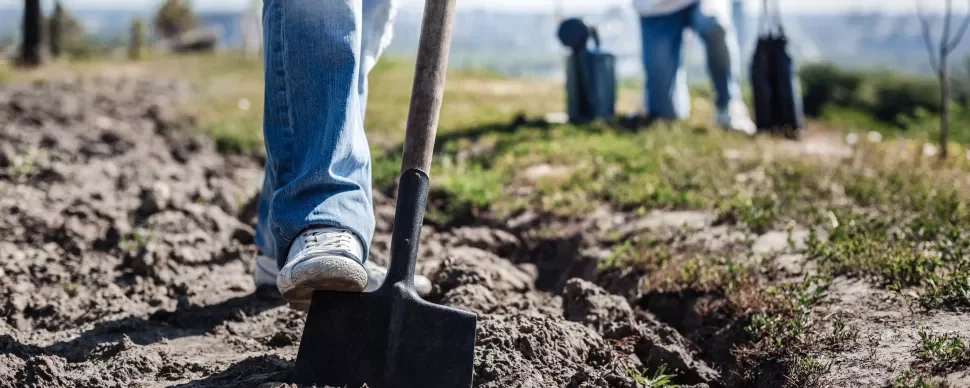 Close-up of a person digging soil with a shovel on a sunny day.