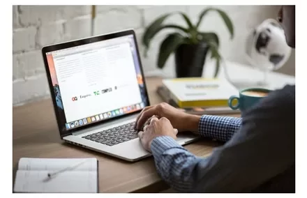 Person working on a laptop at a desk with plants and books.